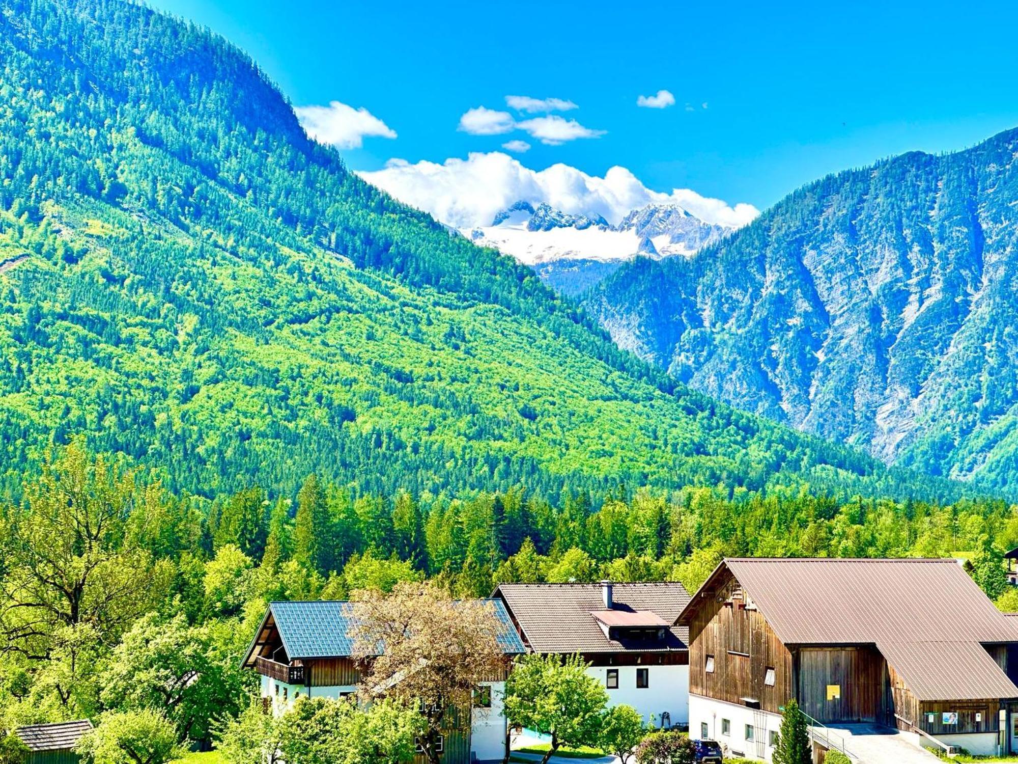 Das Alpenzeit Appartement Mit Just Private Terrasse (Adults Only) Bad Aussee Exteriör bild
